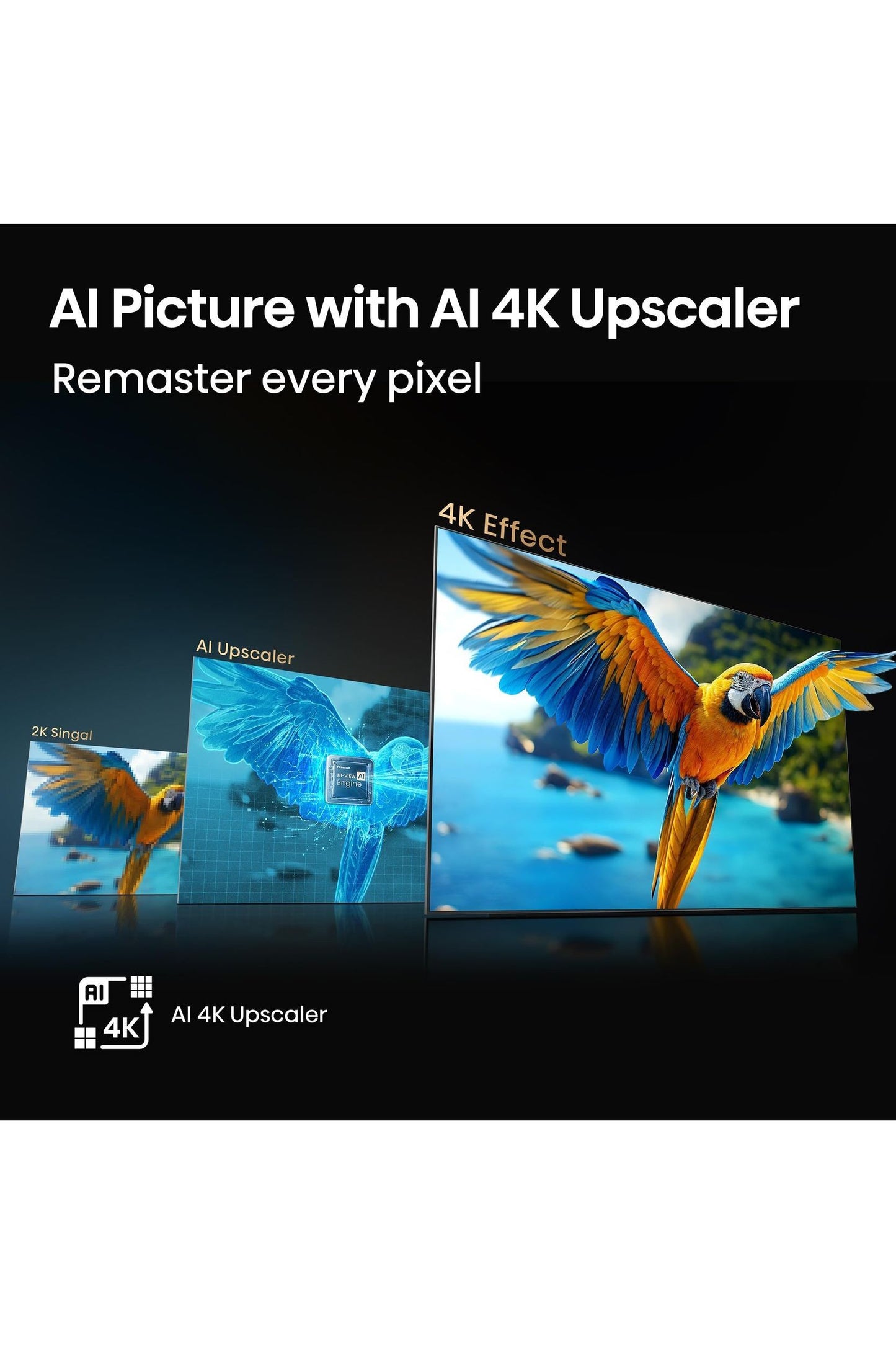 Hisense 55" Class QD6 Series (55QD6QF, 2025 Model)