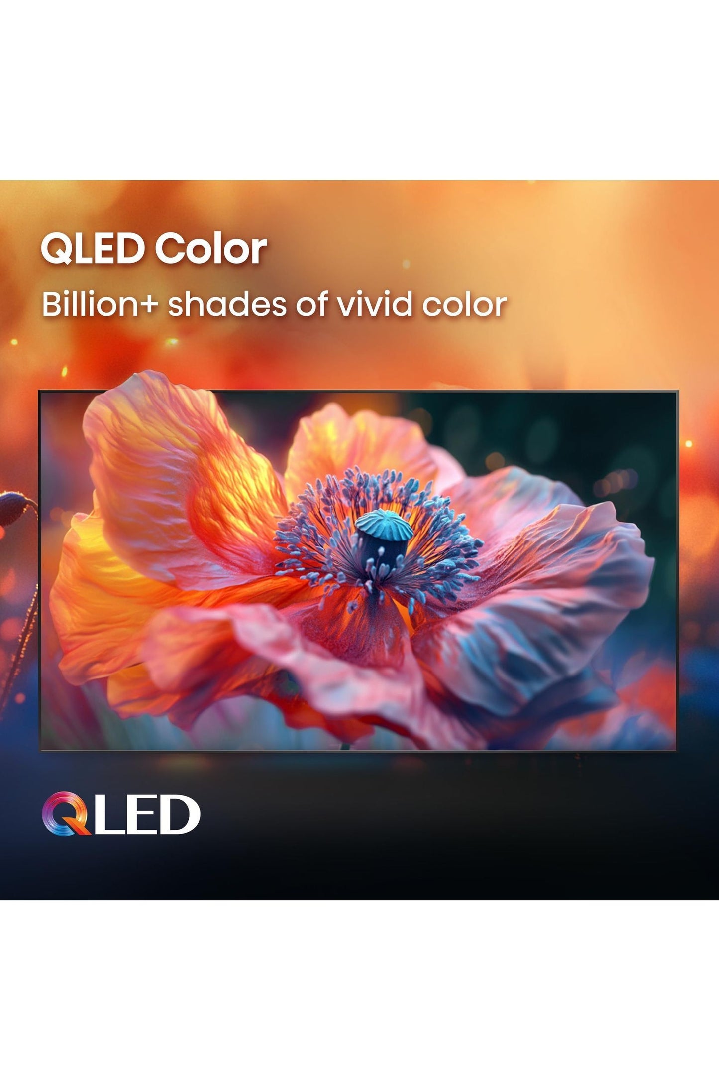 Hisense 55" Class QD6 Series (55QD6QF, 2025 Model)