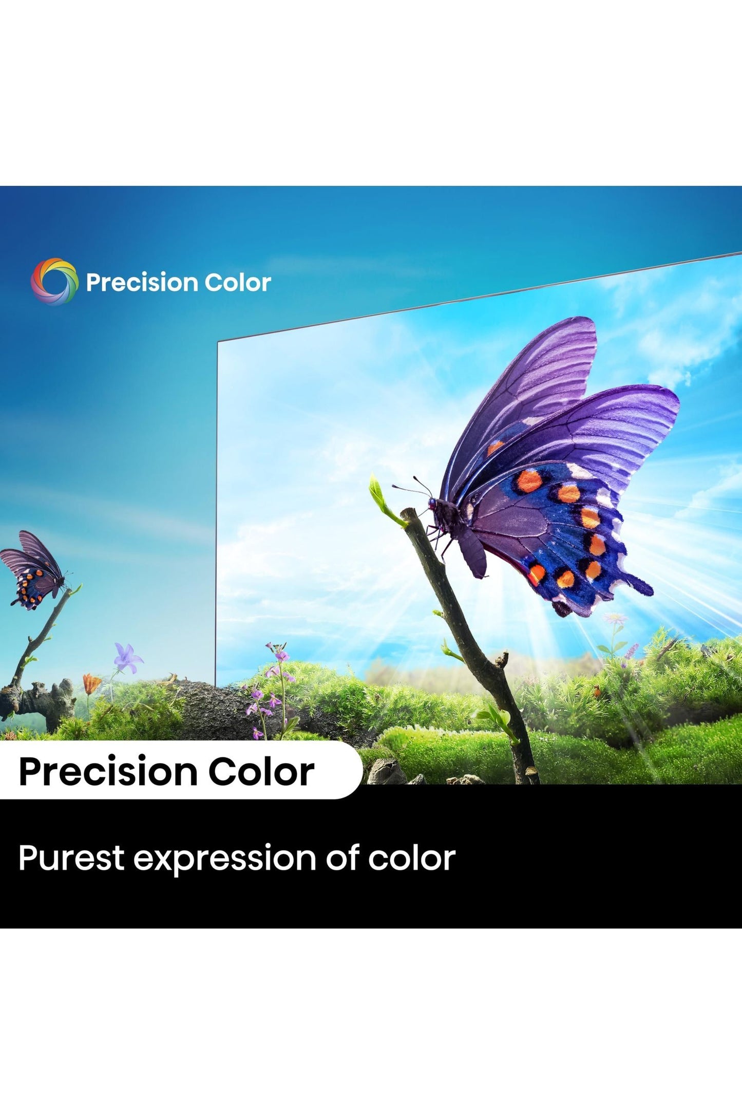Hisense 85-Inch Class A6 Series 4K UHD Smart Roku TV