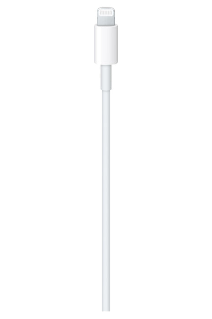 Apple USB-C to Lightning Cable (1 m): Fast and Convenient Charging, Lightning to USB-C or Thunderbolt 3