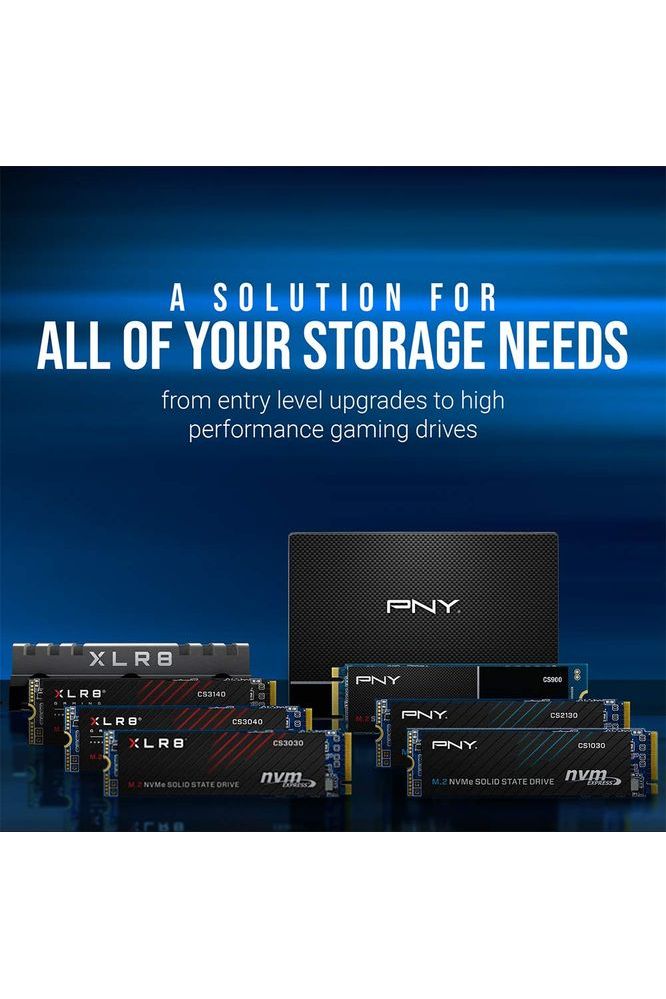 PNY CS900 250GB 3D NAND 2.5" SATA III Internal Solid State Drive (SSD)