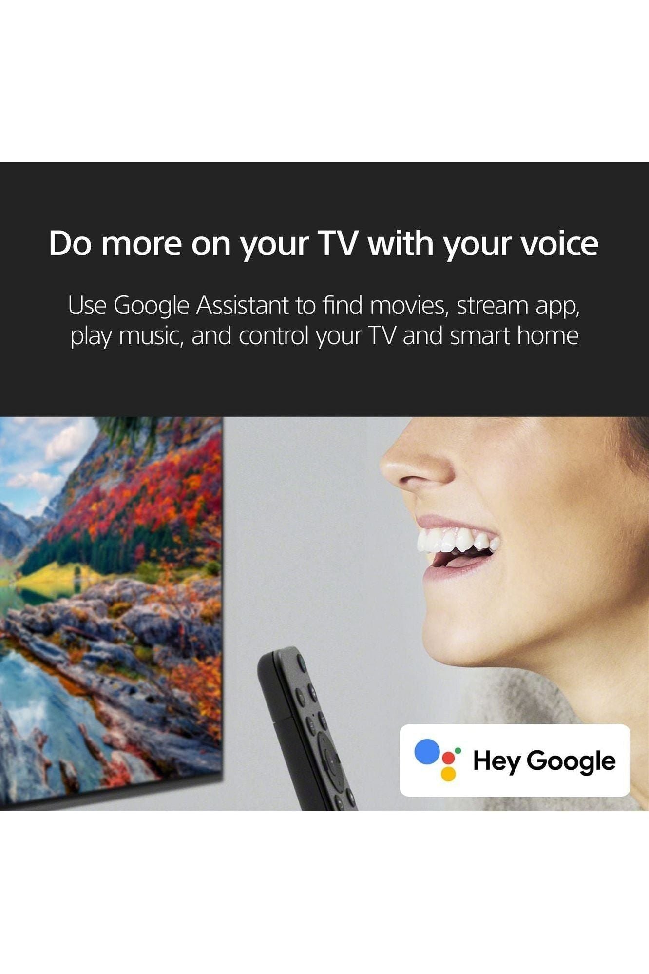 Sony 65 Inch 4K Ultra HD TV X77L Series: LED Smart Google TV KD65X77L- Latest Model, Black